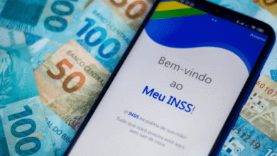 Meu INSS
